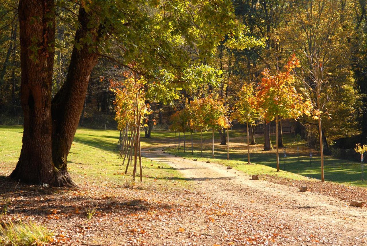 Le Manoir Du Rocher Домм Экстерьер фото